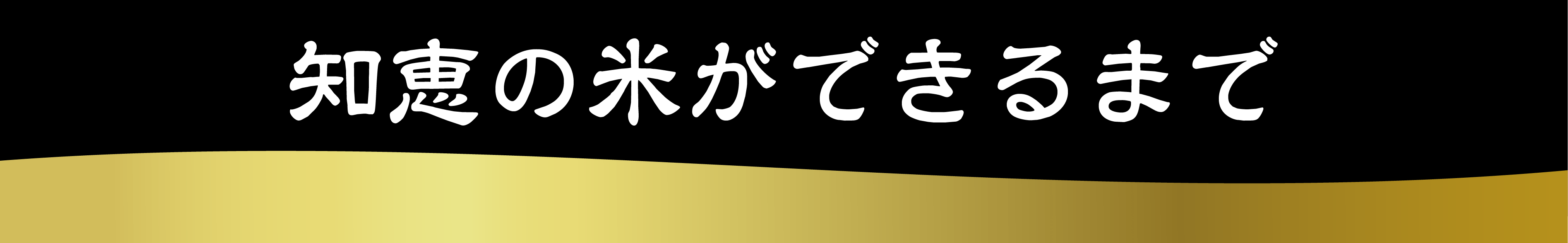 知恵の米ができるまでボタン